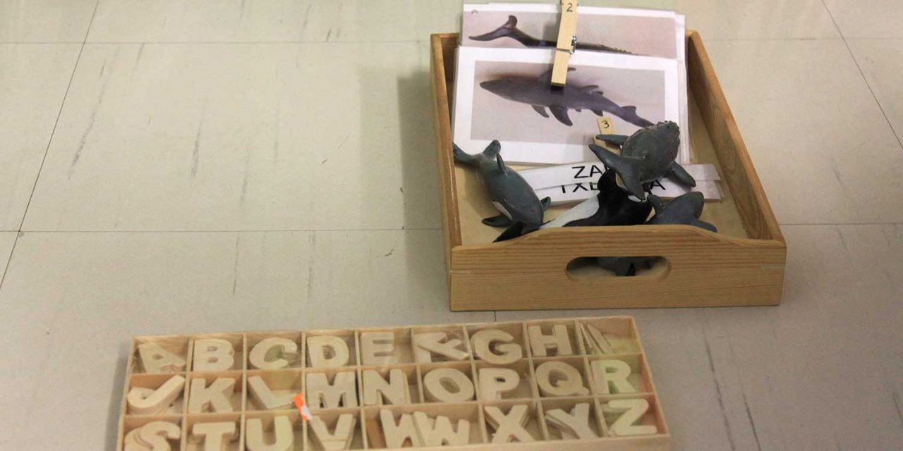 Montessori  munduan  murgiltzen!