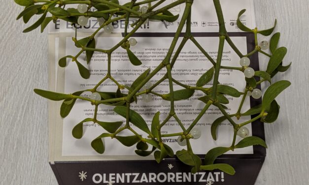 NEGUKO  SOLSTIZIOA  2025